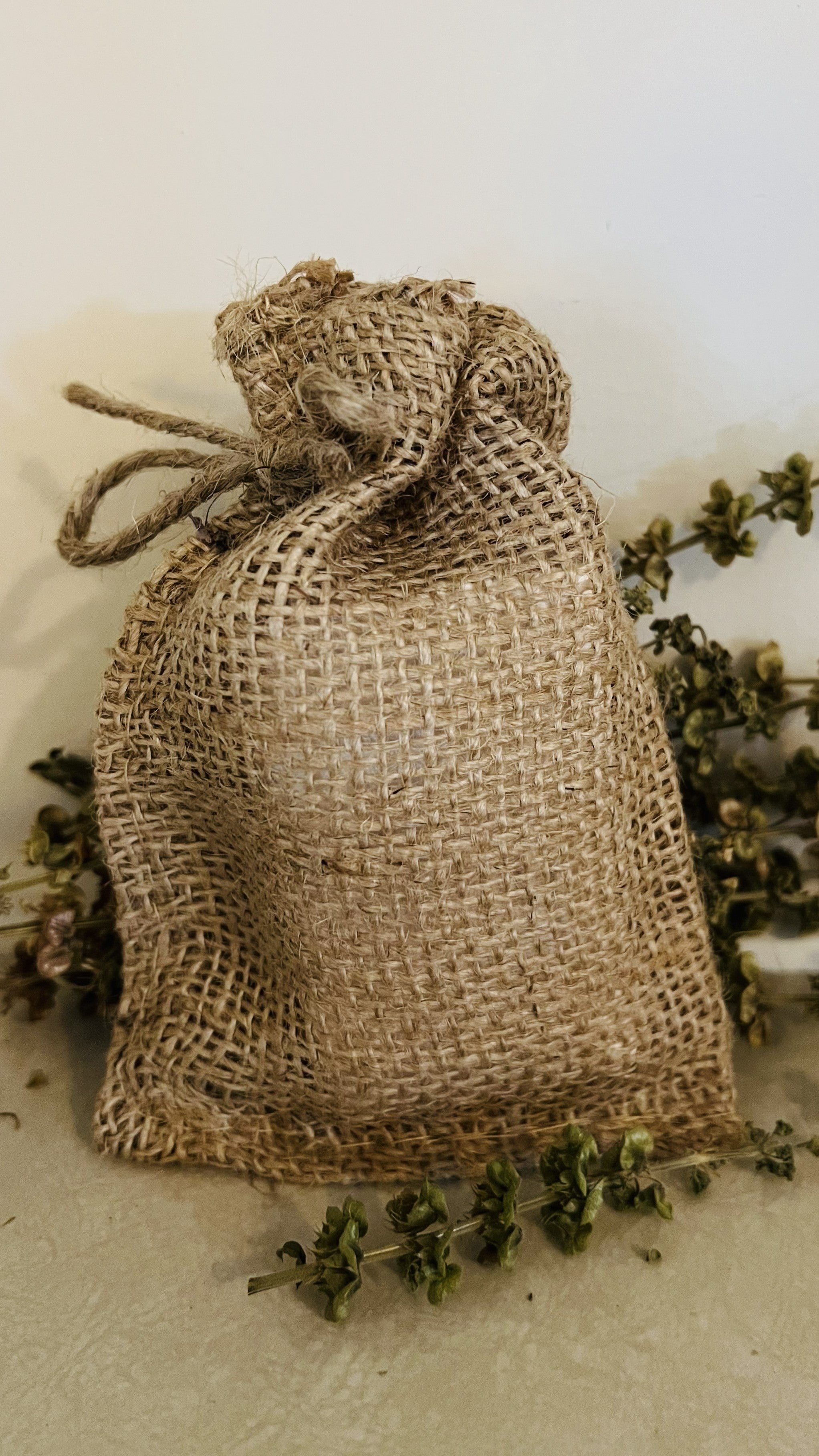 Sanctuary Within™ Sovereign Horse